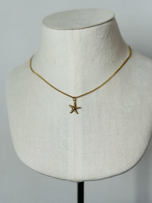 Estrella de mar - By_Handesign