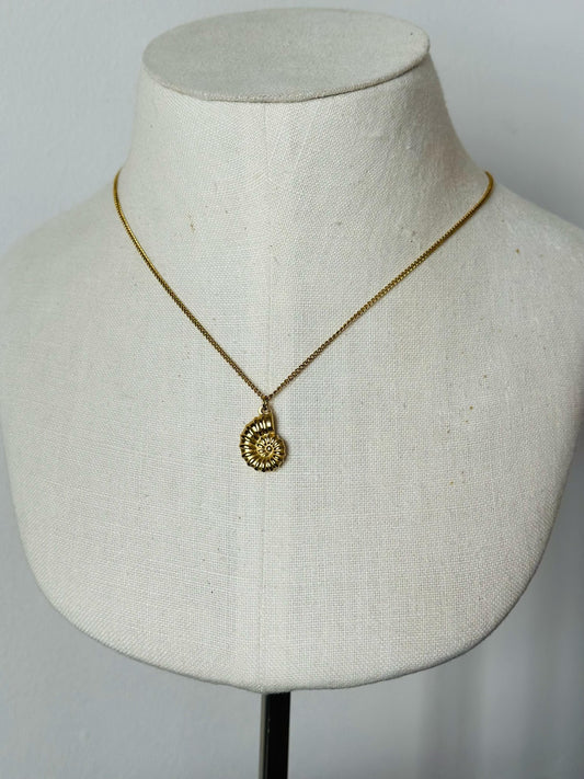 Caracol Marino - By_Handesign