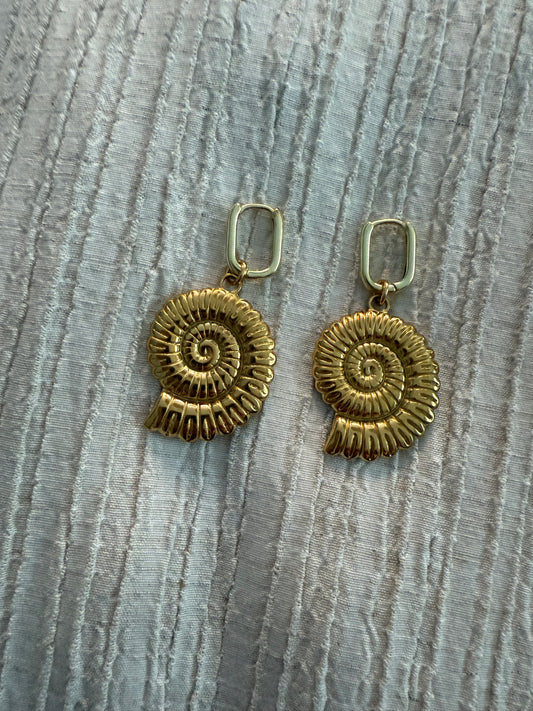 Caracol marino